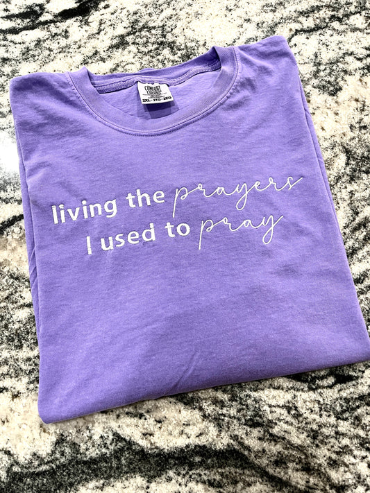 Living the prayers Gildan Sweatshirt